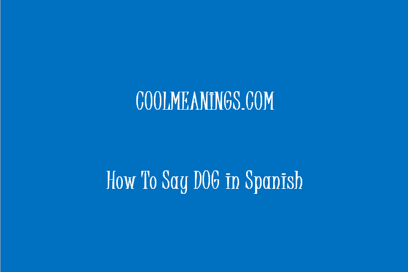 how to say dog in spanish