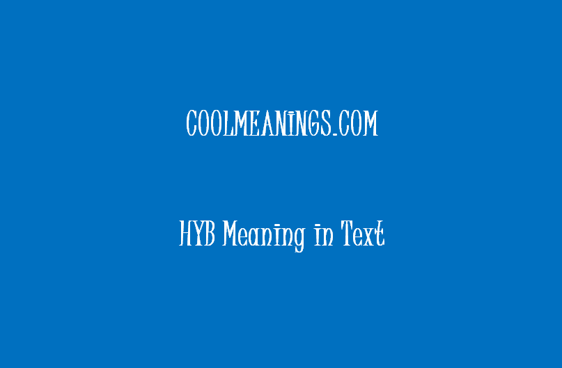 hyb meaning in text