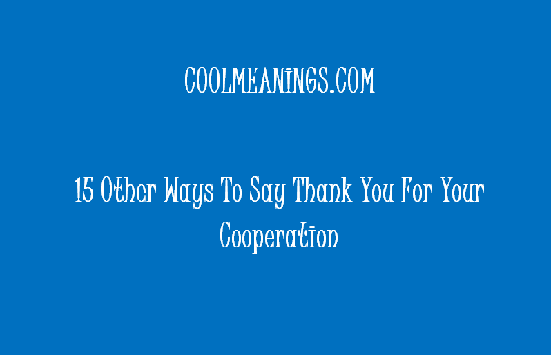 other ways to say thank you for your cooperation
