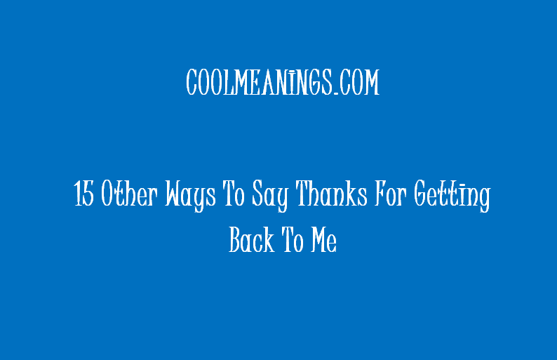 other ways to say thanks for getting back to me